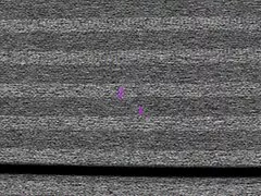 剥奪された処女ロシアの仕 女性 向け エロ 動画 電マ